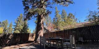 145 Pinon Place Gallery 31