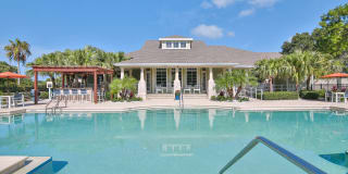 Springs at Palma Sola Gallery 44