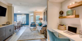 Windsor Herndon Gallery 14
