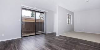 Mountain Springs Gallery 54