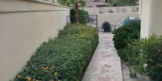 79765 Tangelo Gallery 67