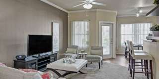 Mozaic at Steele Park Mozaic at Steele Park Gallery 1