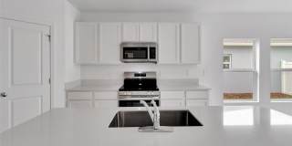 275 PUMA LOOP Gallery 7