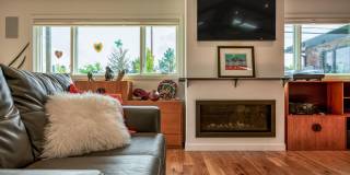 Mid Century Modern Home in Town Gallery 21