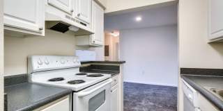 Allyson Gardens II Gallery 1