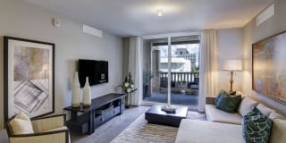 Sofia Coral Gables Gallery 17