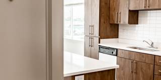 400 Element Gallery 25