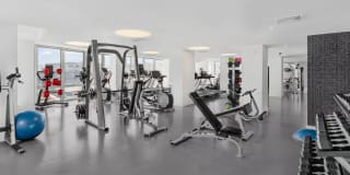 The Duchess Gallery 20