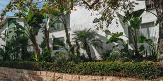 Updated 1 Bedroom Apartment in Convenient Downtown Santa Barbara Location Gallery 2