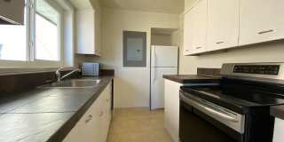 1786S Gallery 7