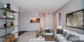 Chatham Wood Gallery 14