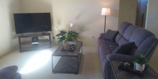 Winter Rental Available October-April 2027 Gallery 7