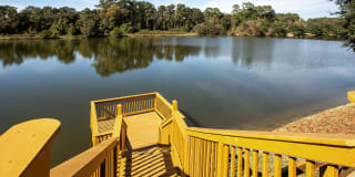 Artisan at Lake Wyndemere Gallery 24