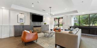 Sofi Lyndhurst Gallery 23