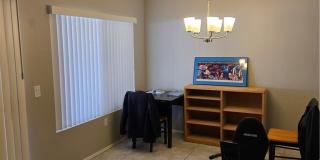 8536 Desert Holly Drive Gallery 13