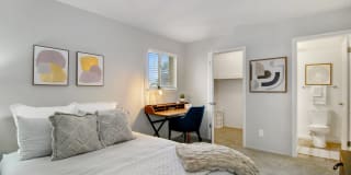 The Maxwell Gallery 24