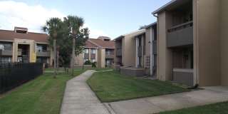 5293 Vineland Road Gallery 7