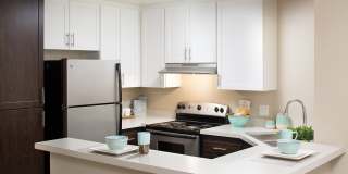 Forest Glen Gallery 22