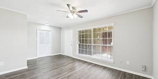 Ashford Westchase Gallery 2