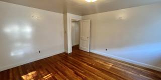 81 Fuller St Gallery 4