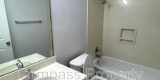 2924 Palomino Trail Gallery 14