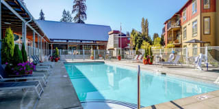 Bailey Farm Gallery 17