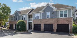 Tree Park Apartments Gallery 31