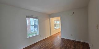 129 Tulip Lane Gallery 17