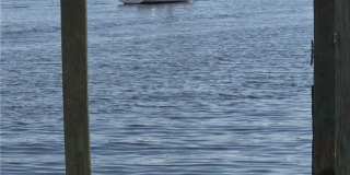 434 Tudor Drive unit: 1H Gallery 26