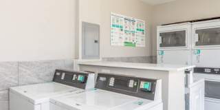 The Borough Gallery 23