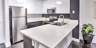 Museum Terrace Gallery 2