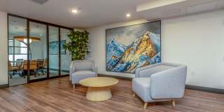 Vineyards Gallery 110