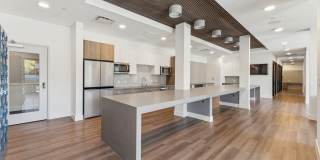 Blue Eastline Gallery 20