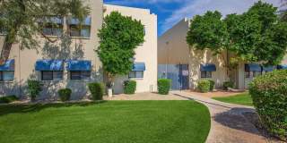 Palm Desert Gallery 23