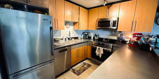Sunny 1 bed 1 bath condo in Fremont Gallery 6
