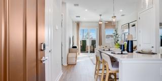 Yardly Crossings Gallery 22