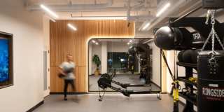 The Magnolia Gallery 11