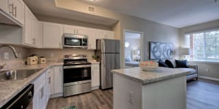 PeakView by Horseshoe Lake Apartments Gallery 5