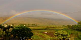 150 Hauoli St Gallery 53