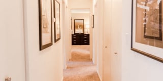 Signature Pointe Gallery 15