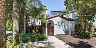 22316 Pineapple Walk Drive Gallery 1