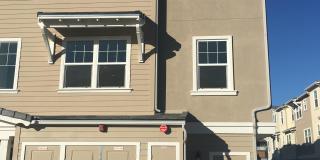 3701 Islander Walk Gallery 2