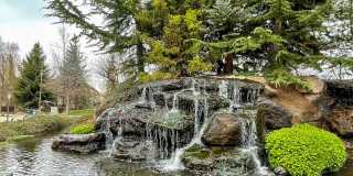 307 East Grove Creek Lane Gallery 7