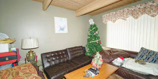 389 Meadow Green Lane Gallery 8