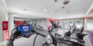 University Oaks Gallery 18