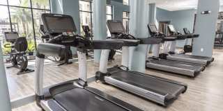 2Bayshore Gallery 44