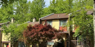 6834 DEER RUN Drive Gallery 1