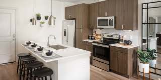 Las Palmas Gallery 14