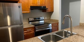 158 Gluck St Gallery 1