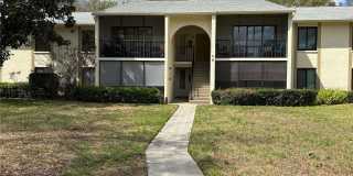 1354 SHADY PINE WAY Gallery 1